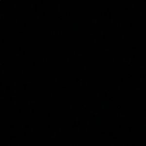 Meet your Posher, Dalida